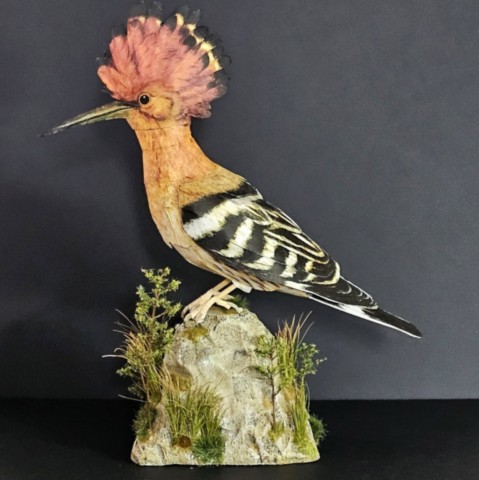 maquette en papier la huppe